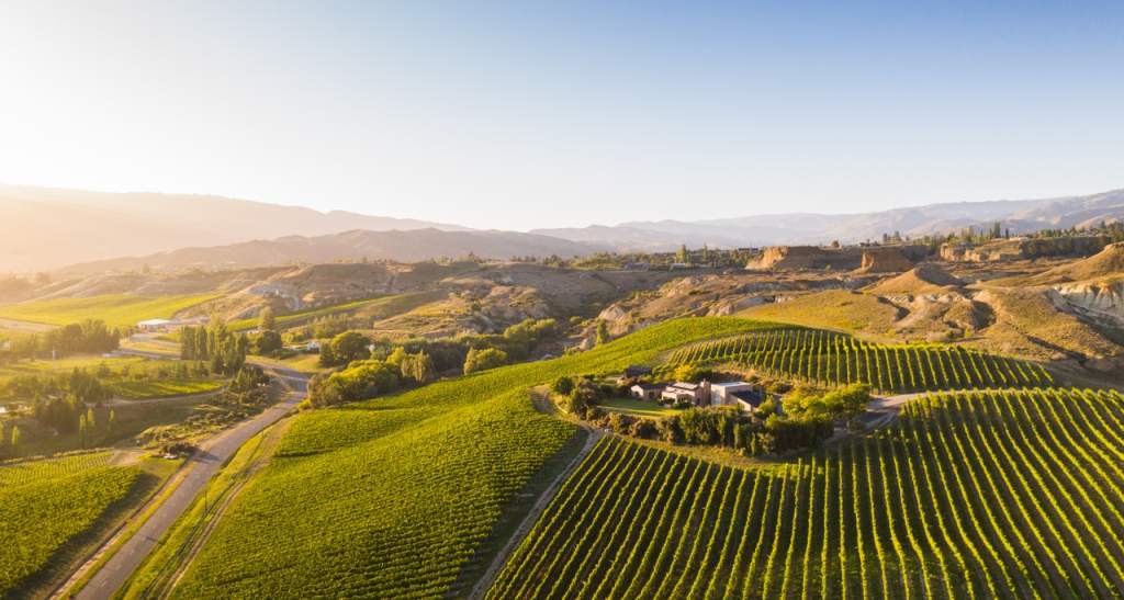 Gate 20 Two Vineyard Bannockburn Credit Will Nelson 4