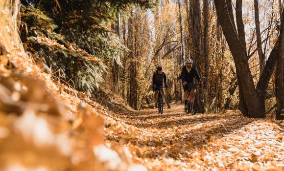Autumn Roxburgh Gorge Trail credit Cameron Mackenzie 1422