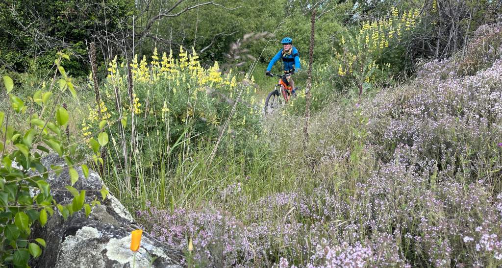 Clyde Alex River Track Image 1 copyright bennettandslater.co.nz