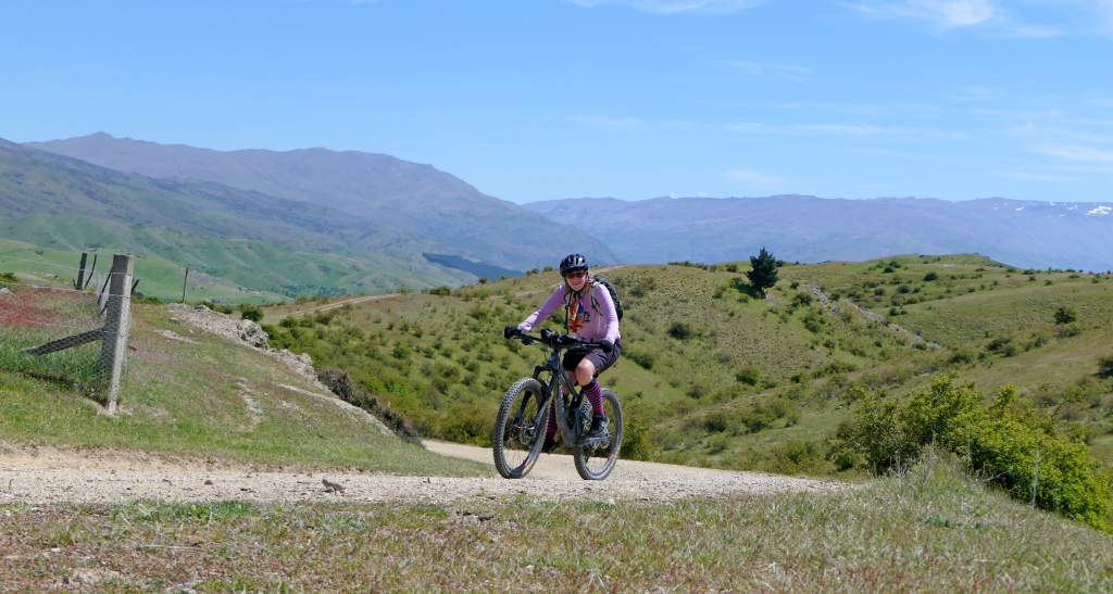 Hawksburn Rd 101123 Pic 5 copyright bennettandslater.co.nz