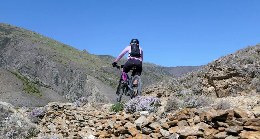 Lake Dunstan 101123 Pic 10 copyright bennettandslater.co.nz