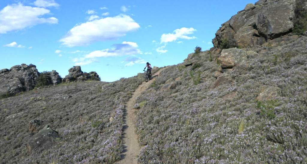 Matangi Station MTB Resurrection 4 credit bennettandslater.co.nz