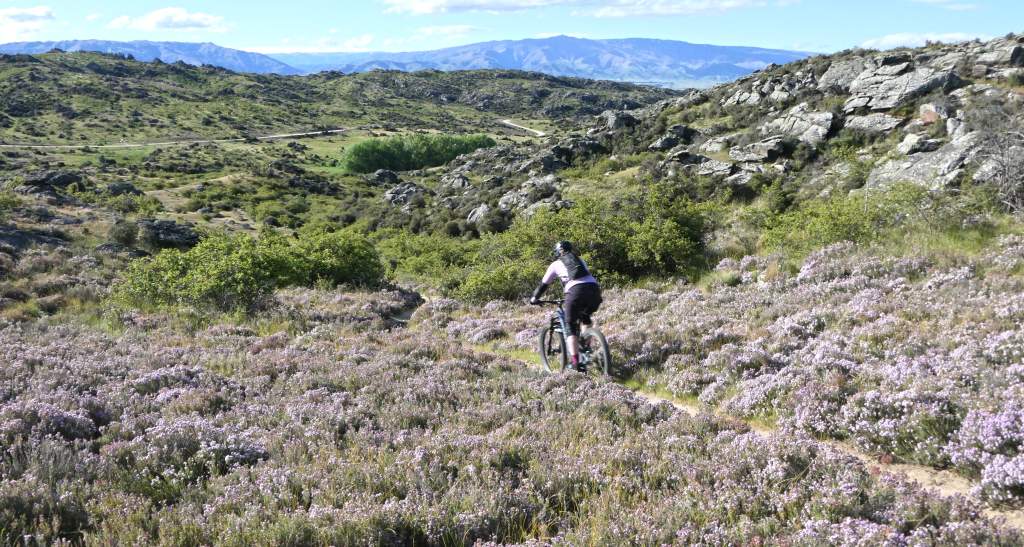Matangi Station MTB Willow 3 credit bennettandslater.co.nz