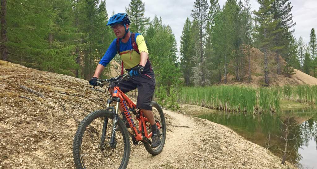 Naseby Forest image 1 copyright bennettandslater.co.nz