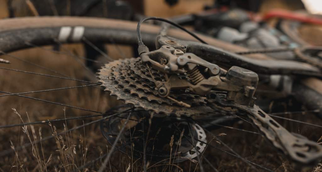 Bike cassette credit Cameron Mackenzie