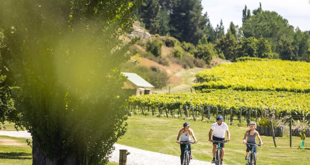 Queenstown Biking Gibbston Wineries