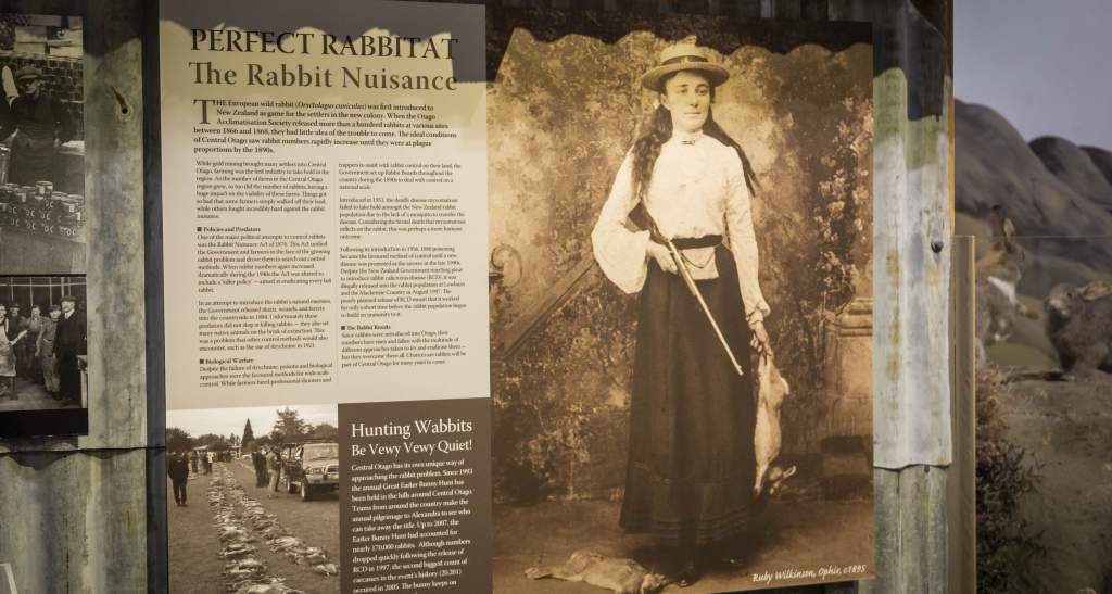 Central Stories Alexandra Rabbits