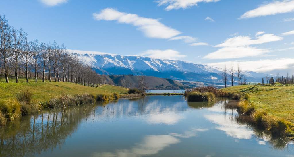 Cloudy Bay Credit Will Nelson 1