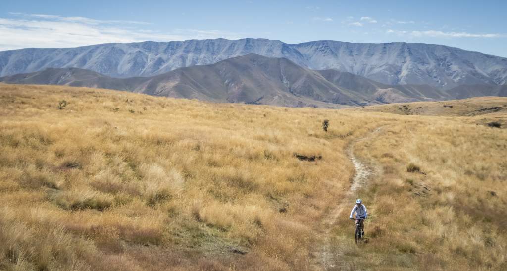 Cluden McPhees MTB credit Geoff Marks 243