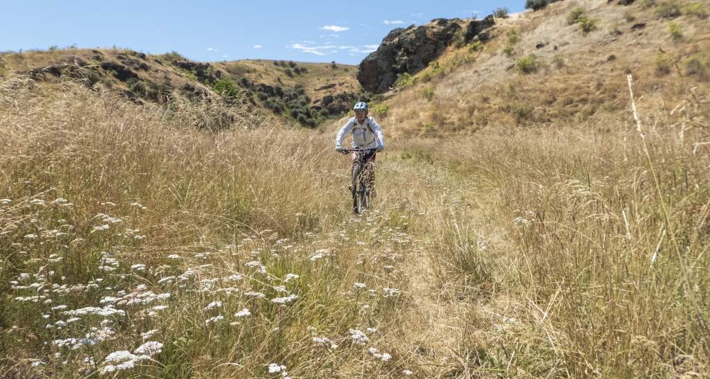 Cluden McPhees MTB credit Geoff Marks 272