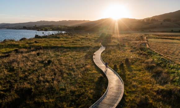 Clutha Gold Trail Extention 44