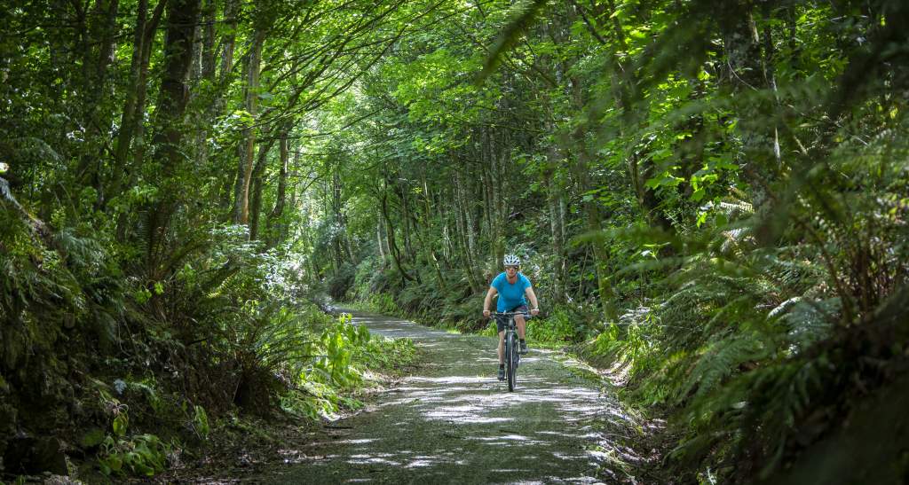 Clutha Gold Trail Mt Stuart 49 credit Geoff Marks