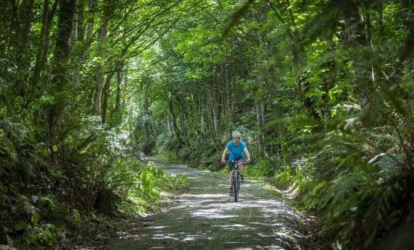 Clutha Gold Trail Mt Stuart 49 credit Geoff Marks