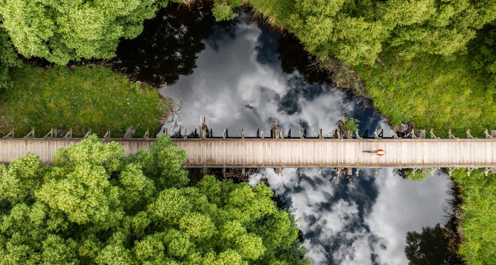 Galloway Bridge credit Will Nelson 0728