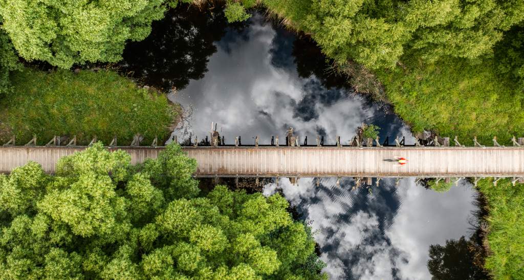 Galloway Bridge credit Will Nelson 0728