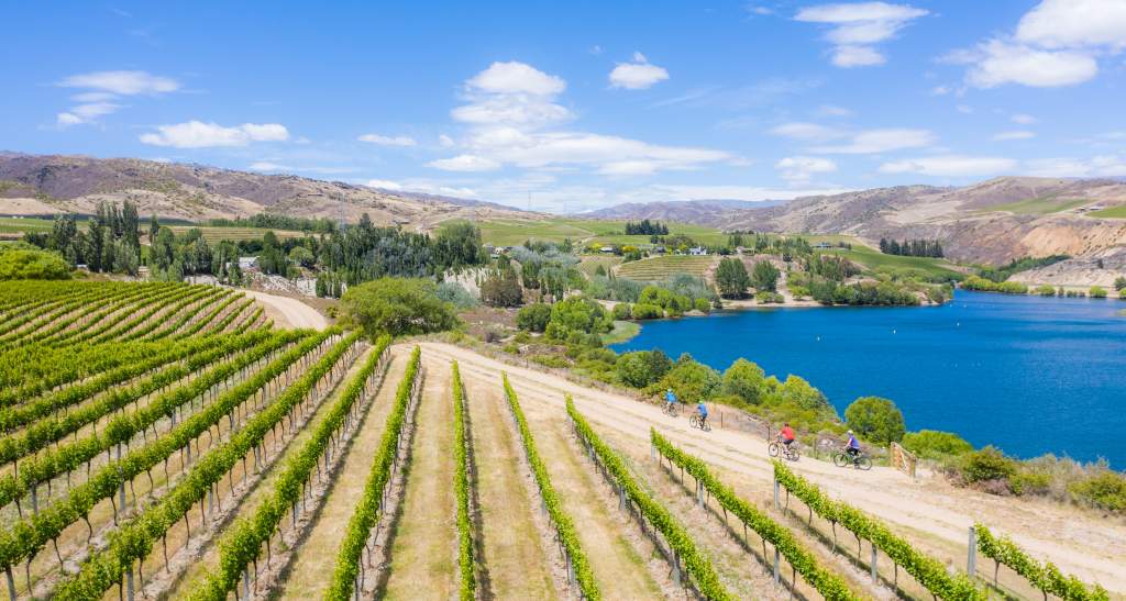Lake Dunstan Trail Bannockburn Vineyard views credit Will Nelson