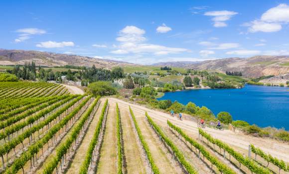 Lake Dunstan Trail Bannockburn Vineyard views credit Will Nelson
