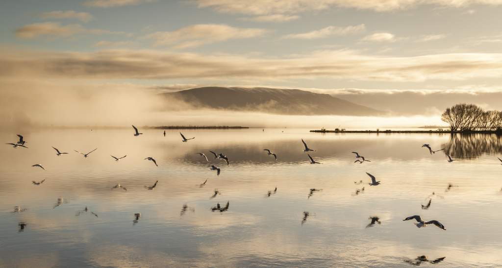 Lake Waihola 1 credit Geoff Marks