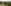 Otago Central Rail Trail - AMB