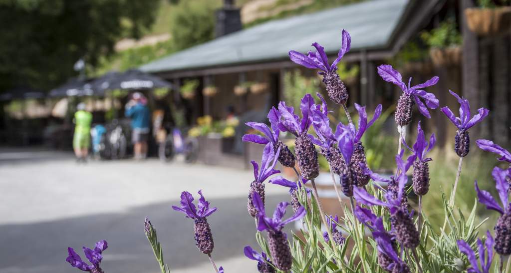 Danseys Biking credit Geoff Marks 227