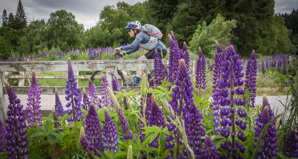 Naseby Biking credit Geoff Marks 490