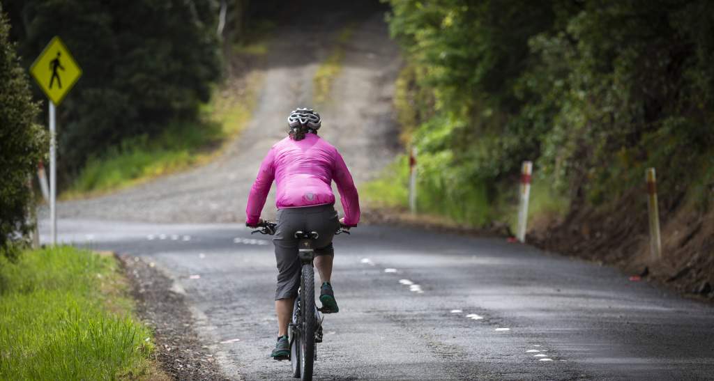 Dunedin Harbour Cycleway credit Geoff Marks 108