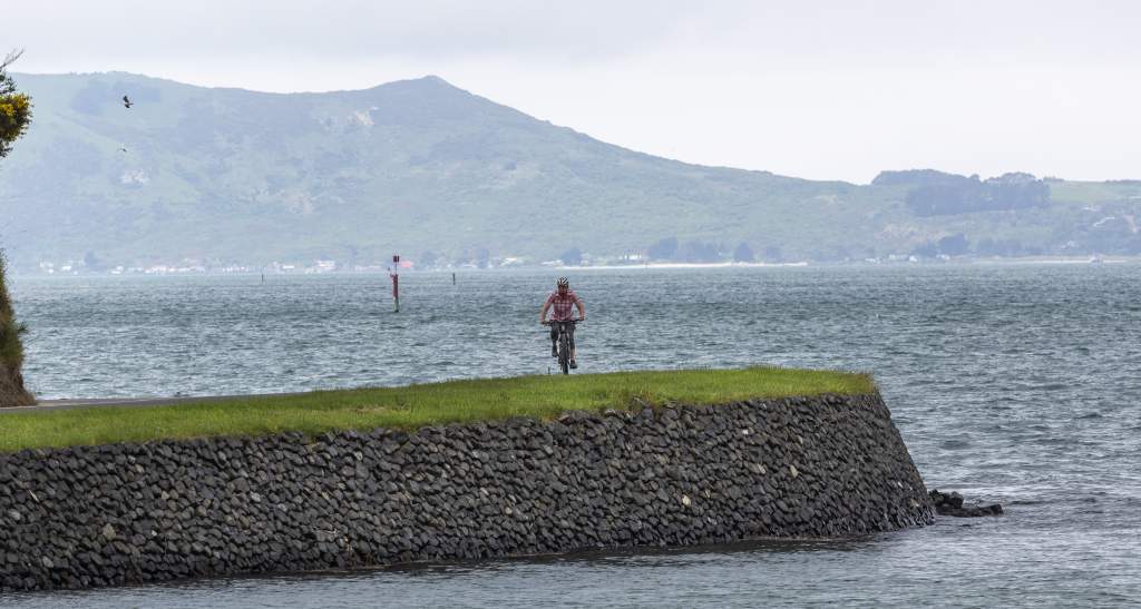 Dunedin Harbour Cycleway credit Geoff Marks 262