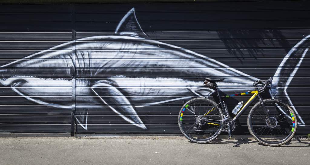 Dunedin Street Art credit Geoff Marks 373