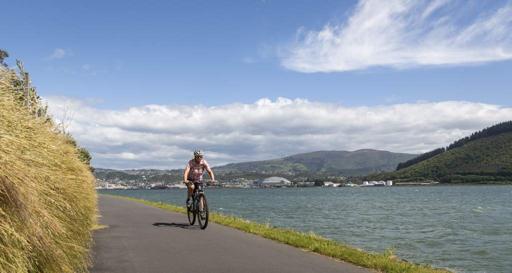 Dunedin Harbour Cycleway credit Geoff Marks 410