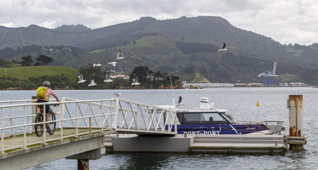 Port to Port Ferry Dunedin credit Geoff Marks 602