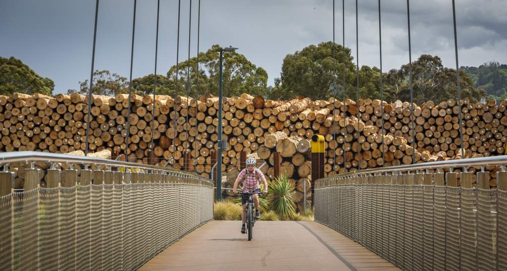 Dunedin Harbour Cycleway credit Geoff Marks 856