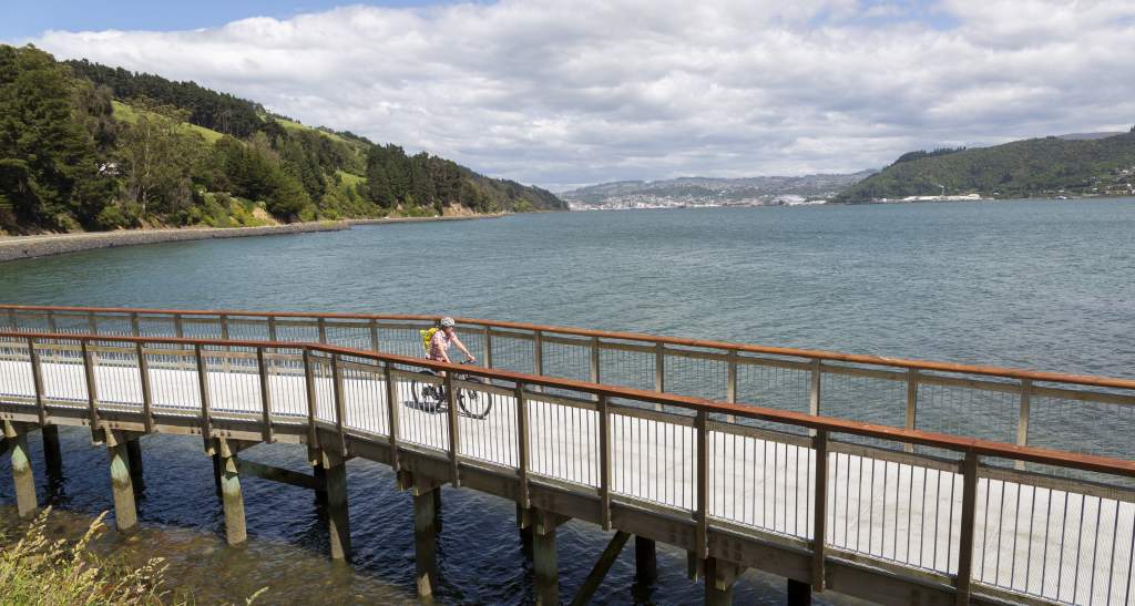 Explore Dunedin on the new Harbour Cycleway