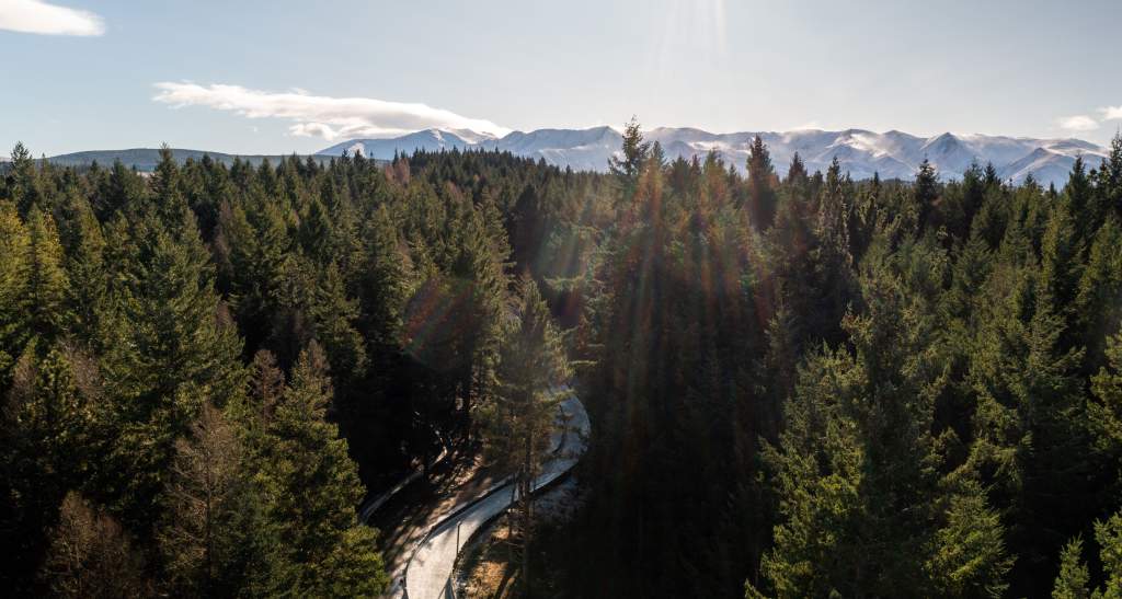 Winter Naseby Ice Luge