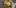 Waipiata Country Hotel ETC21 8